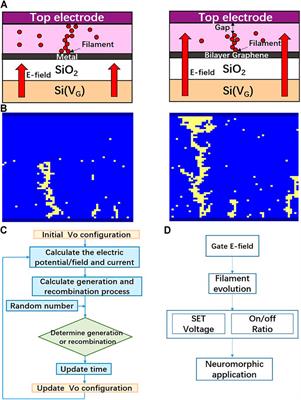 Modeling of Gate Tunable Synaptic Device for Neuromorphic Applications